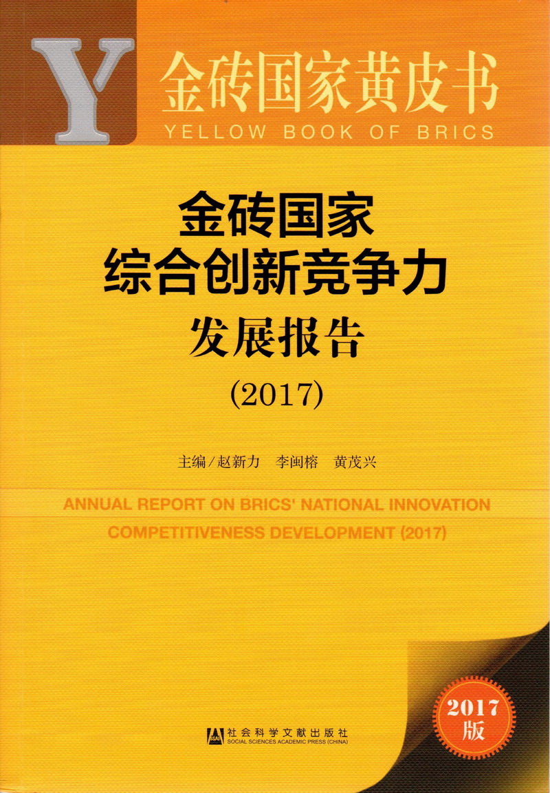 欧美大鸡巴插逼视频金砖国家综合创新竞争力发展报告（2017）